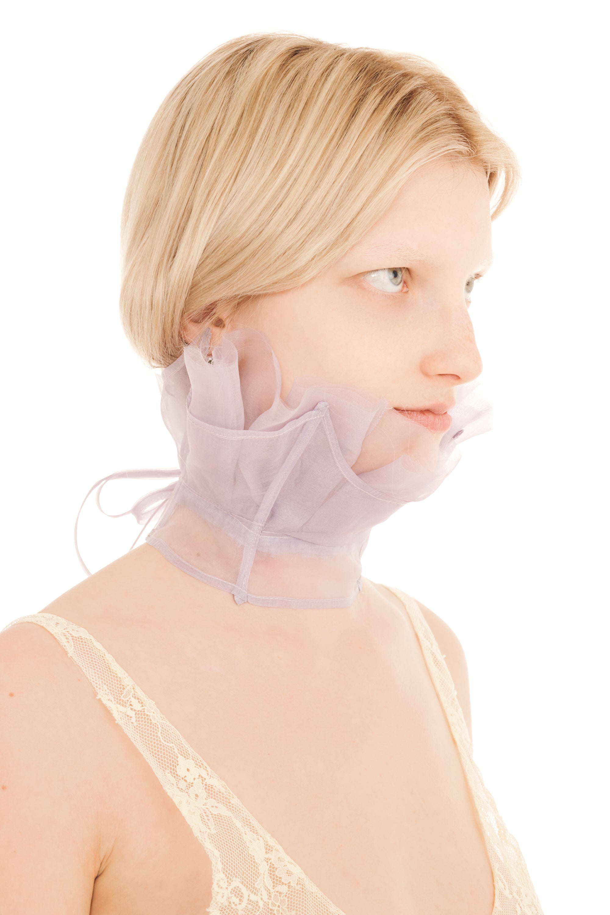 LILAC LESTAT COLLAR