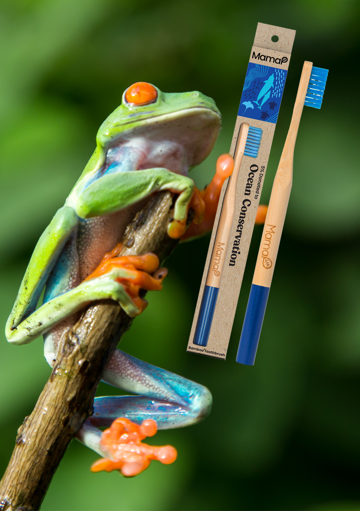 Blue Bamboo Toothbrush | MamaP