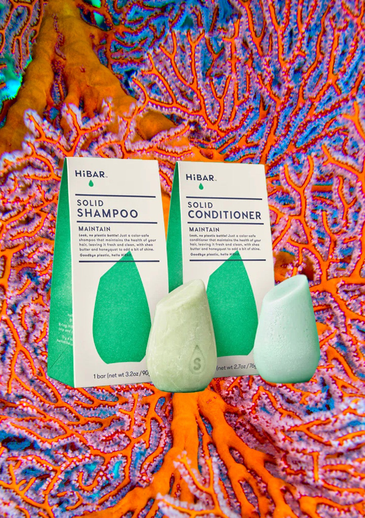 Maintain Shampoo Bar | HiBar
