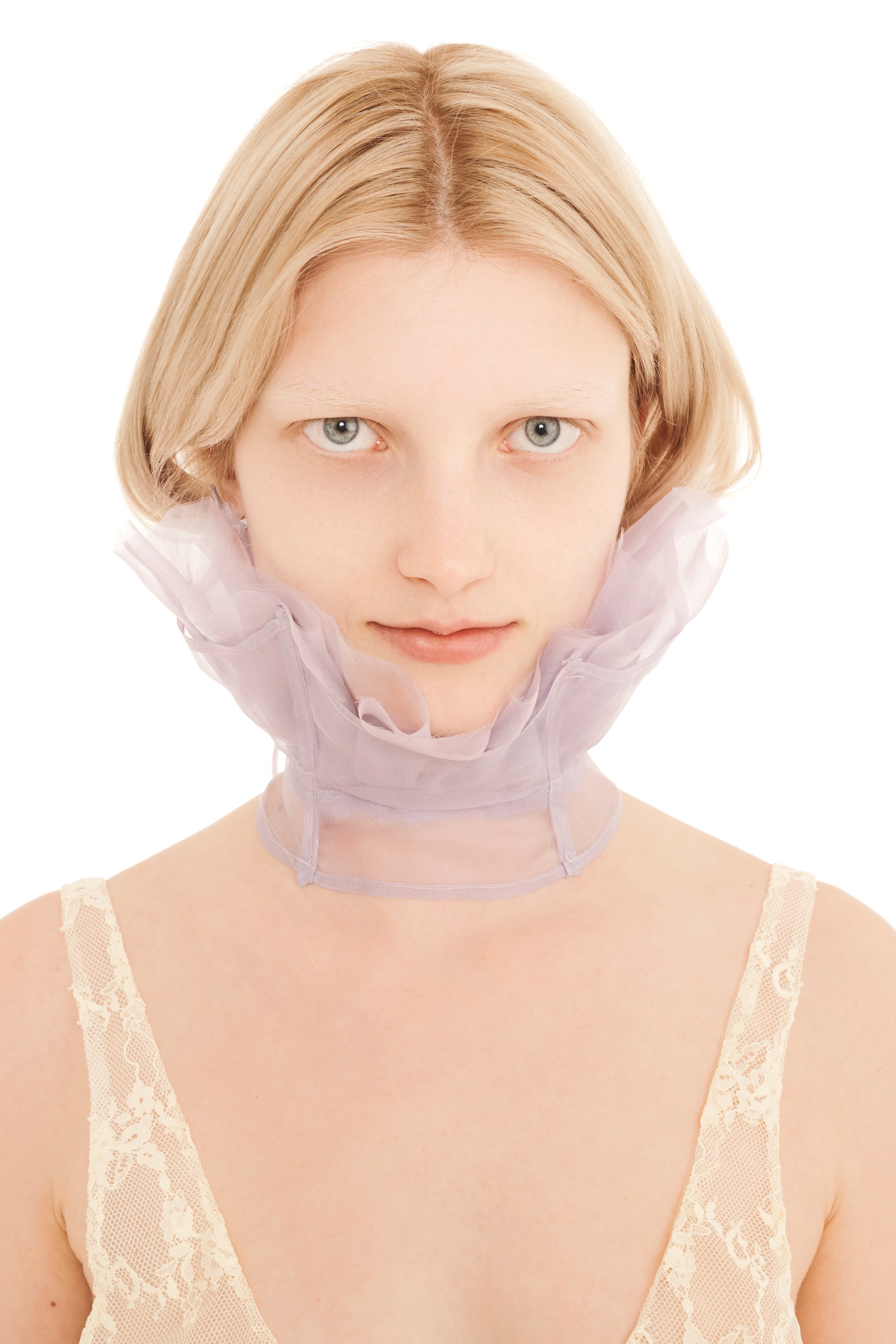 LILAC LESTAT COLLAR