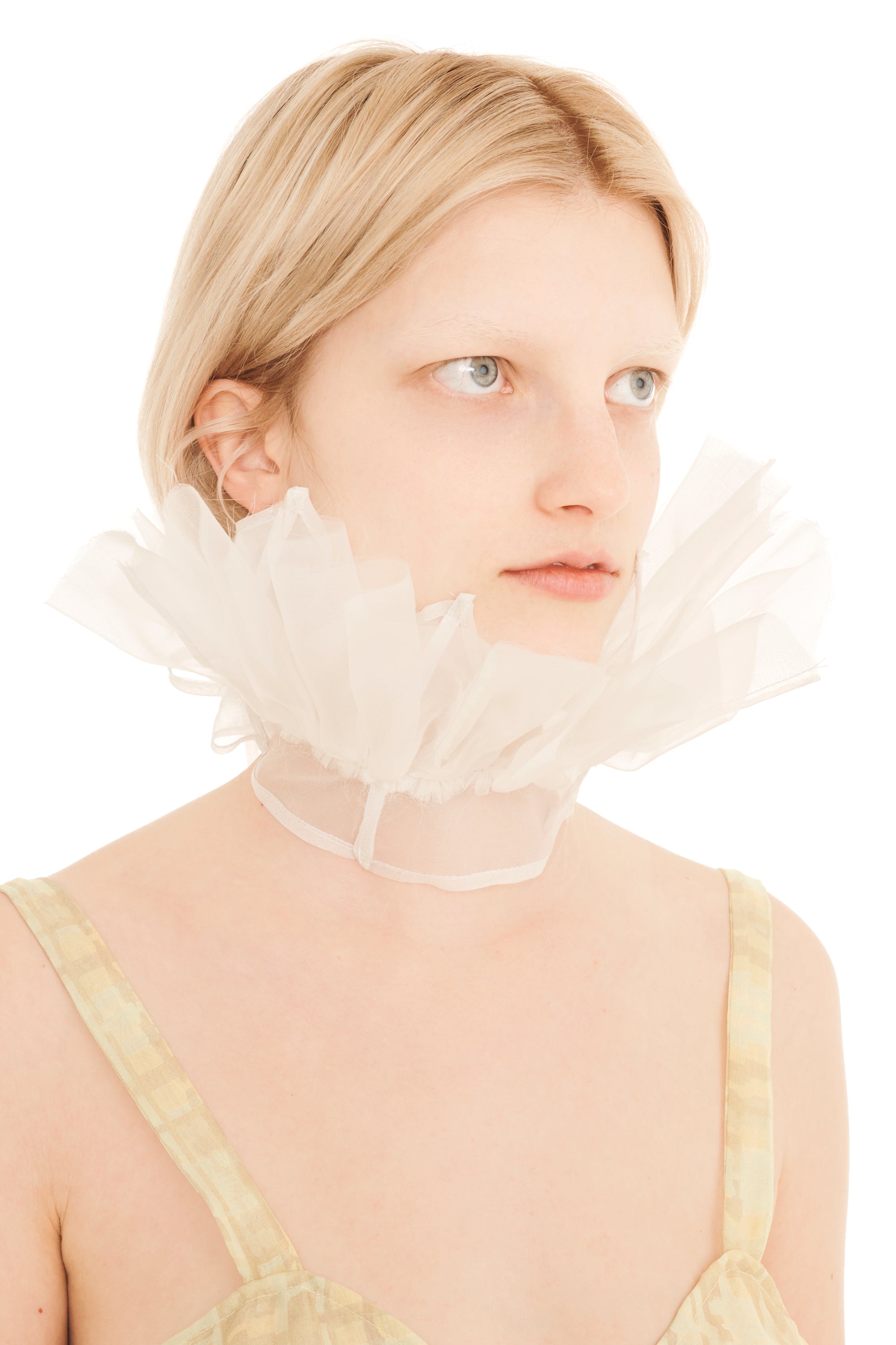 WHITE LESTAT COLLAR