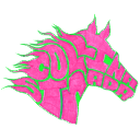 Collina Strada logo