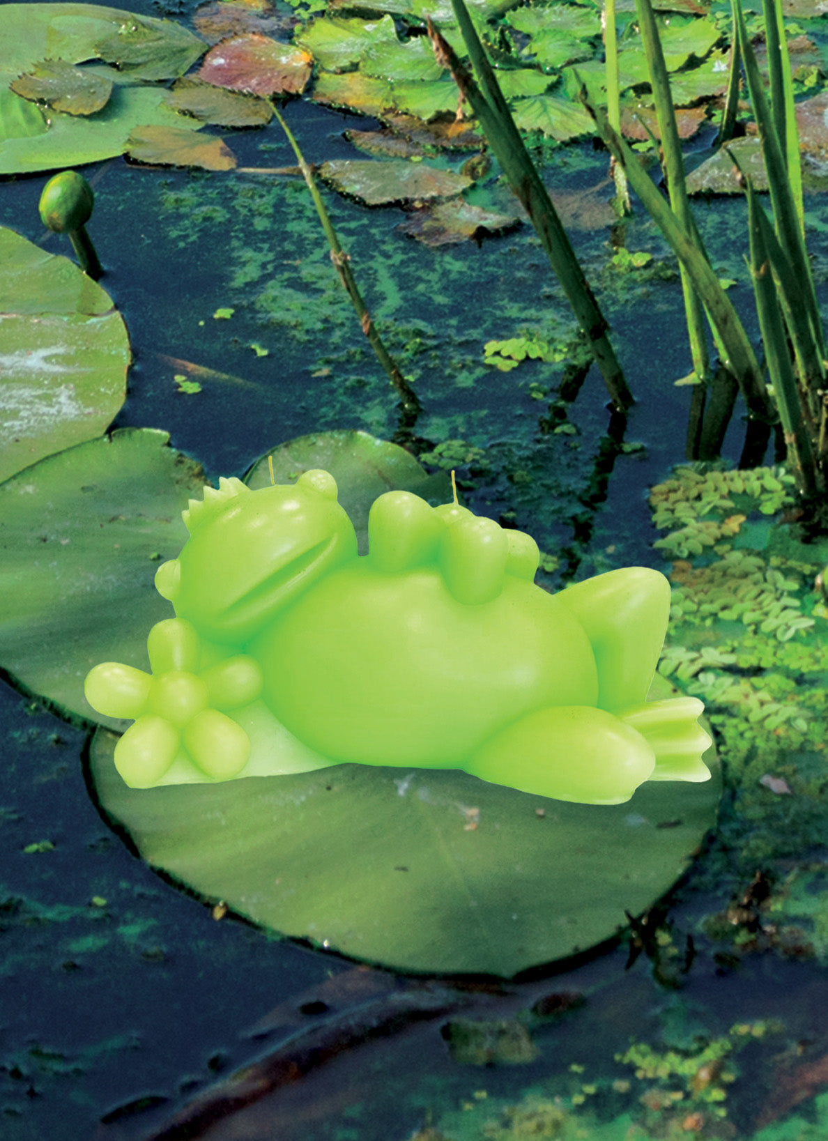 Large Green Frog Candle - Thumbnail 2