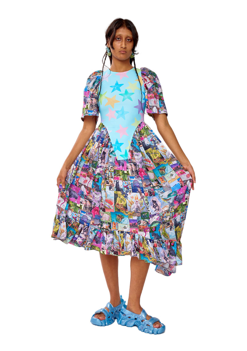 POSTER PRINT POLLINATE DRESS