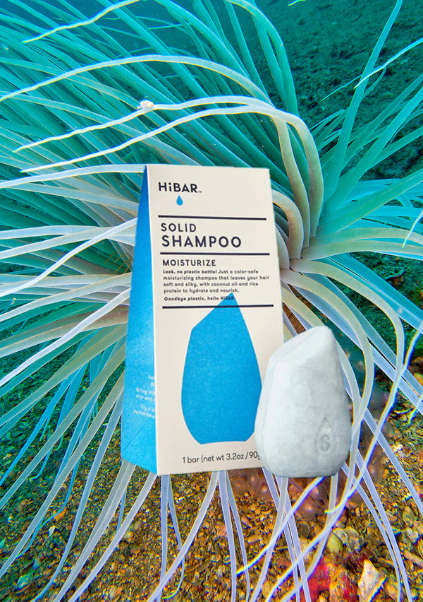 Moisturize Shampoo Bar | HiBar