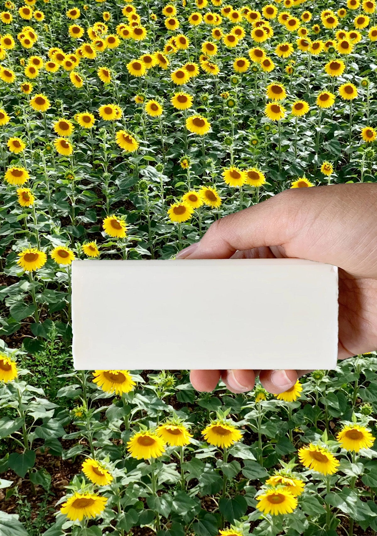 Vegan Stain Remover Bar | Kind Laundry